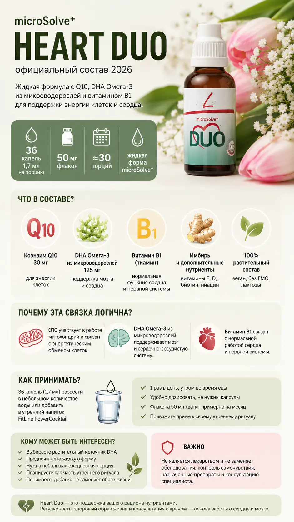 microsolve-heart-duo-innovatsionnaya-podderzhka-se