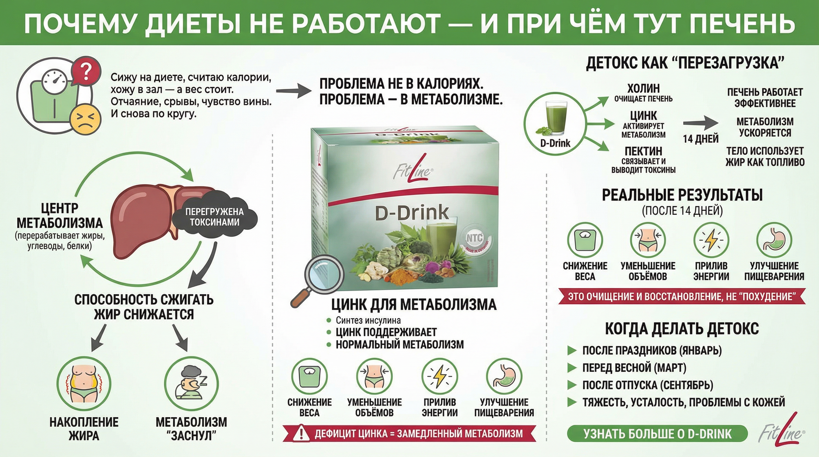 Почему диеты не работают — и при чём тут печень