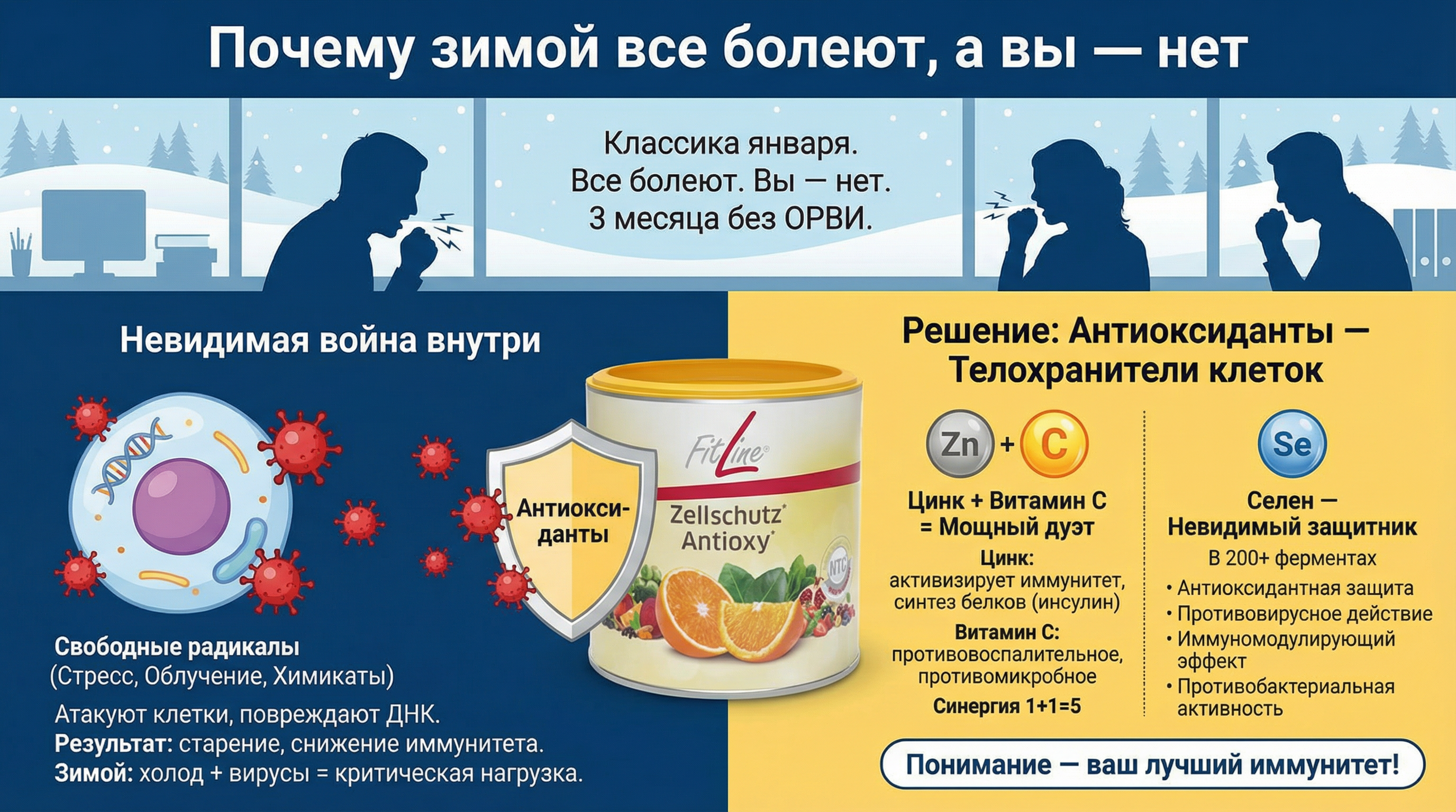 Антиоксиданты и иммунитет: что говорит наука