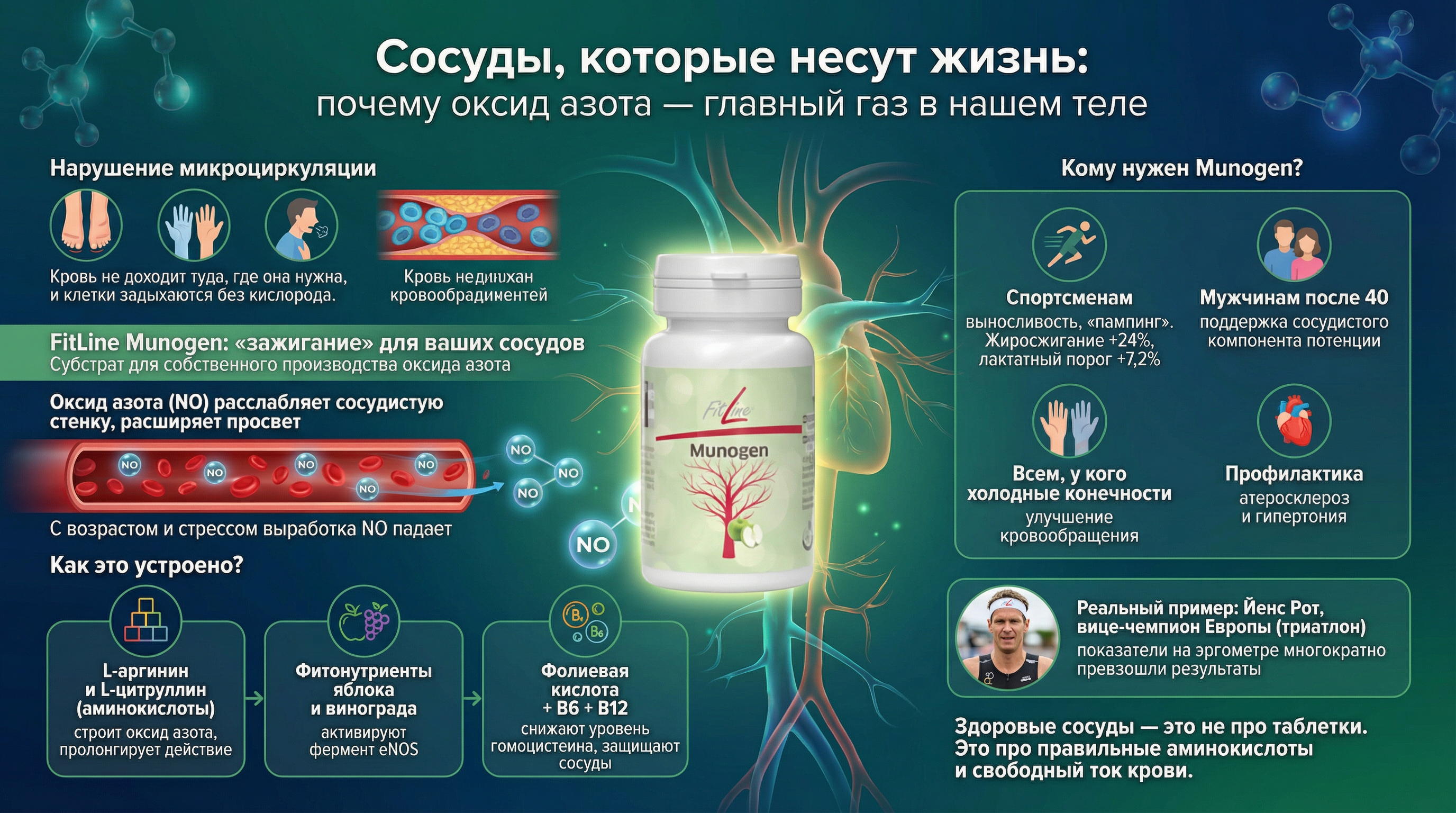 Сосуды, которые несут жизнь